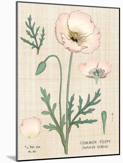 Poppy Chart Linen-Sue Schlabach-Mounted Art Print