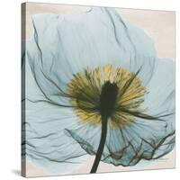 Poppy Close-Up-Albert Koetsier-Stretched Canvas