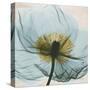 Poppy Close-Up-Albert Koetsier-Stretched Canvas