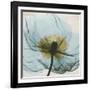 Poppy Close-Up-Albert Koetsier-Framed Art Print