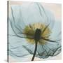 Poppy Close-Up-Albert Koetsier-Stretched Canvas