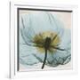 Poppy Close-Up-Albert Koetsier-Framed Art Print