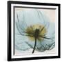 Poppy Close-Up-Albert Koetsier-Framed Art Print