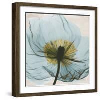 Poppy Close-Up-Albert Koetsier-Framed Art Print