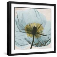 Poppy Close-Up-Albert Koetsier-Framed Art Print