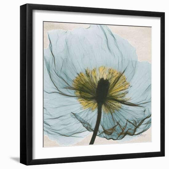 Poppy Close-Up-Albert Koetsier-Framed Art Print