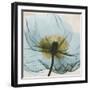 Poppy Close-Up-Albert Koetsier-Framed Art Print