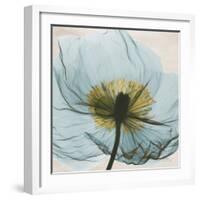 Poppy Close-Up-Albert Koetsier-Framed Art Print