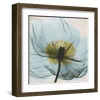 Poppy Close-Up-Albert Koetsier-Framed Art Print