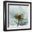 Poppy Close-Up-Albert Koetsier-Framed Art Print