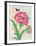 Poppy Collage-Pamela Gladding-Framed Premium Giclee Print