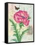 Poppy Collage-Pamela Gladding-Framed Stretched Canvas