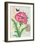 Poppy Collage-Pamela Gladding-Framed Art Print