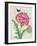 Poppy Collage-Pamela Gladding-Framed Art Print