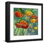 Poppy Dance-Karen Mathison Schmidt-Framed Art Print