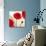 Poppy Dawn-James Worthington-Giclee Print displayed on a wall