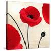 Poppy Dawn-James Worthington-Stretched Canvas