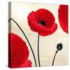 Poppy Dawn-James Worthington-Stretched Canvas