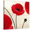 Poppy Dawn-James Worthington-Stretched Canvas