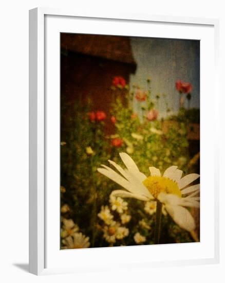 Poppy Days-Emma Kahane-Framed Photographic Print