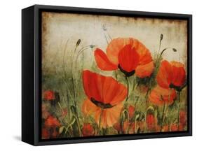 Poppy Daze-Farrell Douglass-Framed Stretched Canvas