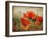 Poppy Daze-Farrell Douglass-Framed Giclee Print