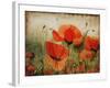 Poppy Daze-Farrell Douglass-Framed Giclee Print