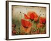 Poppy Daze-Farrell Douglass-Framed Giclee Print