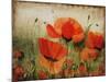 Poppy Daze-Farrell Douglass-Mounted Giclee Print