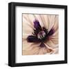 Poppy Dreams II-Louise Montillio-Framed Art Print