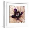 Poppy Dreams II-Louise Montillio-Framed Art Print