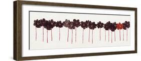 Poppy Drift I-Alice Buckingham-Framed Giclee Print