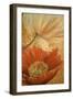 Poppy Duet-Cherie Roe Dirksen-Framed Giclee Print