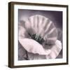 Poppy Dusk I-Lucy Meadows-Framed Giclee Print