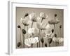 Poppy Elevation-Assaf Frank-Framed Giclee Print