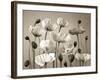 Poppy Elevation-Assaf Frank-Framed Giclee Print