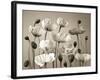 Poppy Elevation-Assaf Frank-Framed Giclee Print