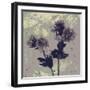 Poppy Fantasy I-Herb Dickinson-Framed Premium Photographic Print