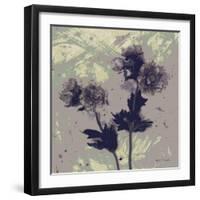 Poppy Fantasy I-Herb Dickinson-Framed Photographic Print