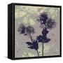 Poppy Fantasy I-Herb Dickinson-Framed Stretched Canvas