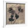 Poppy Fantasy II-Herb Dickinson-Framed Photographic Print