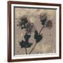 Poppy Fantasy II-Herb Dickinson-Framed Photographic Print