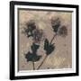 Poppy Fantasy II-Herb Dickinson-Framed Photographic Print