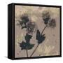 Poppy Fantasy II-Herb Dickinson-Framed Stretched Canvas