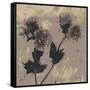 Poppy Fantasy II-Herb Dickinson-Framed Stretched Canvas