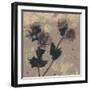 Poppy Fantasy II-Herb Dickinson-Framed Photographic Print