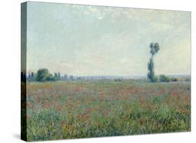 Poppy Field, 1881-Claude Monet-Stretched Canvas