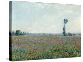 Poppy Field, 1881-Claude Monet-Stretched Canvas