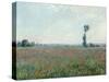 Poppy Field, 1881-Claude Monet-Stretched Canvas