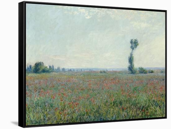 Poppy Field, 1881-Claude Monet-Framed Stretched Canvas